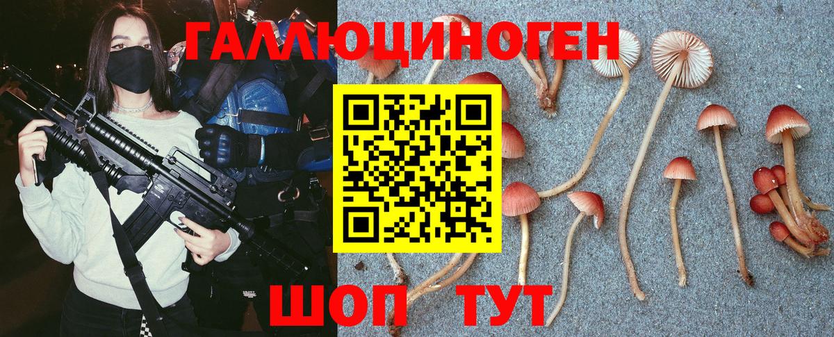 Псилоцибиновые грибы GOLDEN TEACHER Королёв