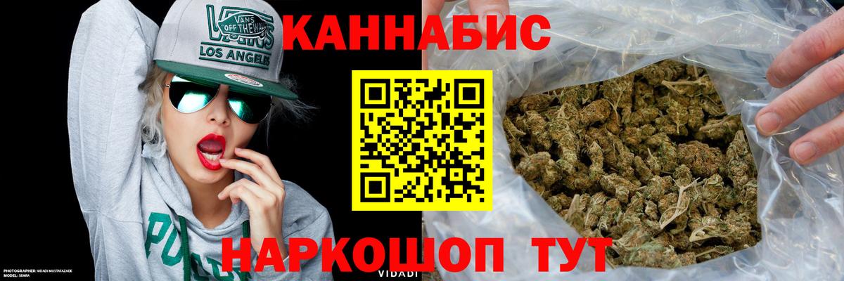 Бошки Шишки планчик Королёв